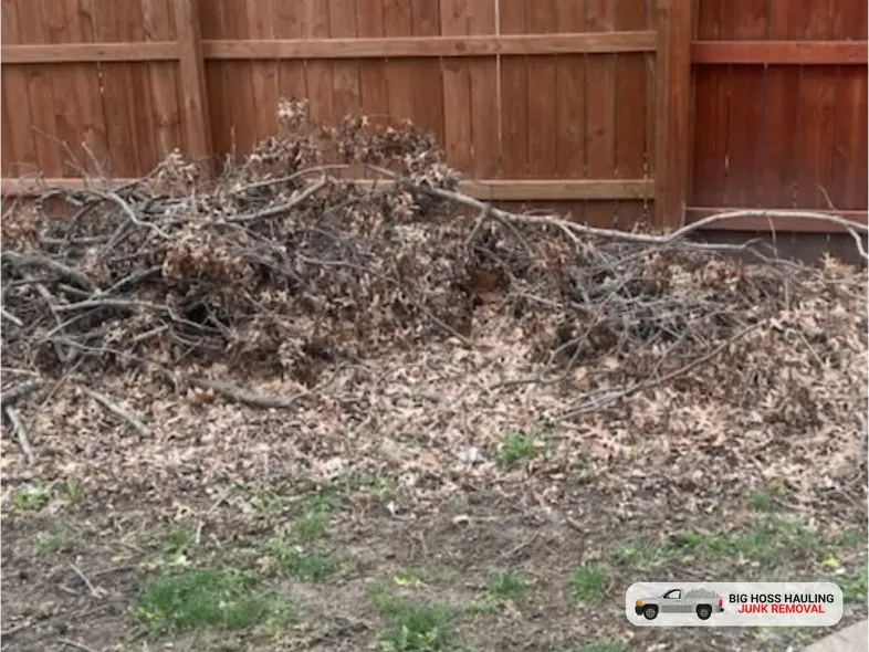 Before: a big brush pile along a wooden fence
