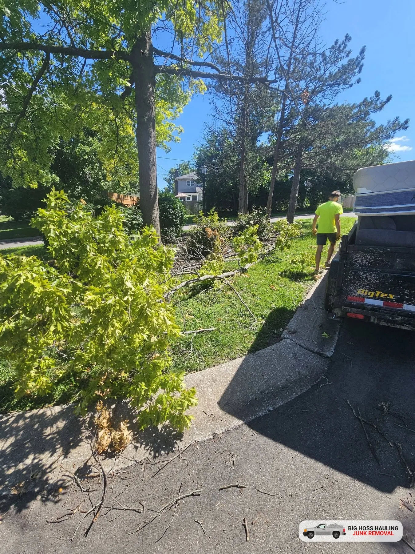 Crew clearing fallen limbs from a yard